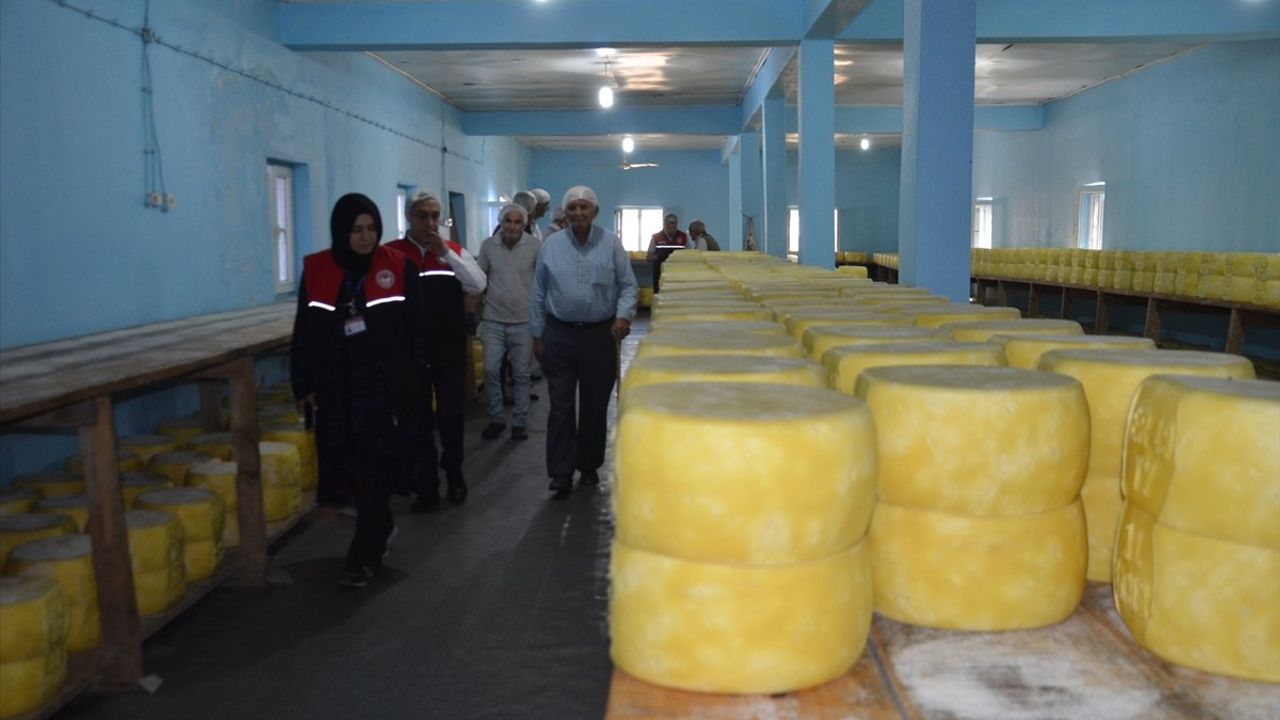 Muş'un Eski Kaşar Peyniri Ülke Genelinde Talep Görüyor