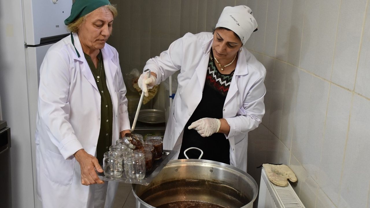 Ordu'daki Kadın Kooperatiflerinin Başarı Hikayesi Belgesel Oluyor
