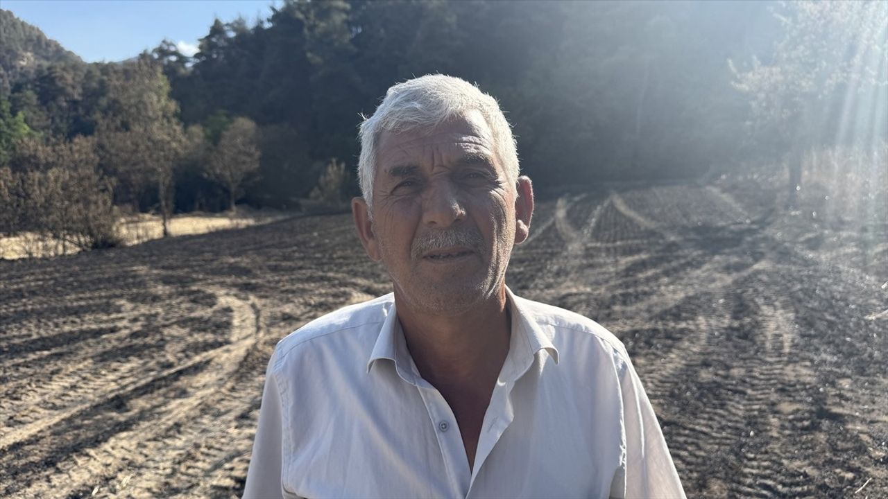 Sakarya'da Orman Yangını: Çiftçi Mustafa Bulut Zararını Anlattı
