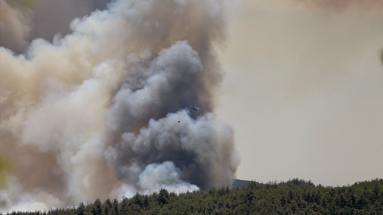 Sakarya'da Orman Yangınına Hızla Müdahale Ediliyor