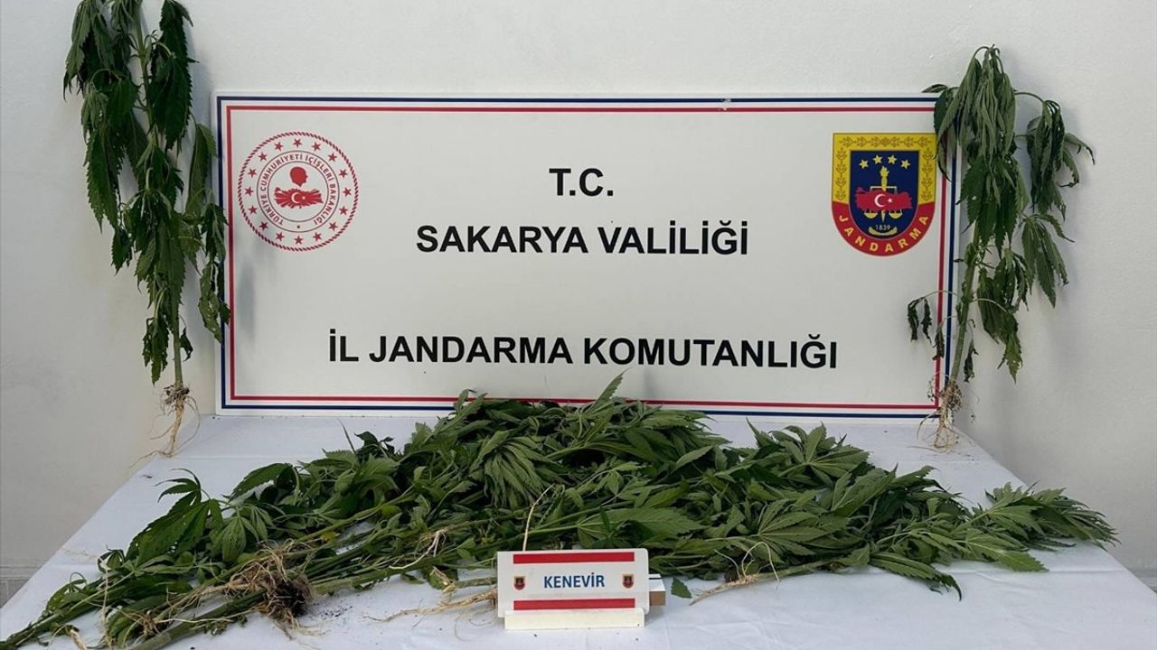 Sakarya'da Uyuşturucu Operasyonları: Üç Şüpheli Tutuklandı