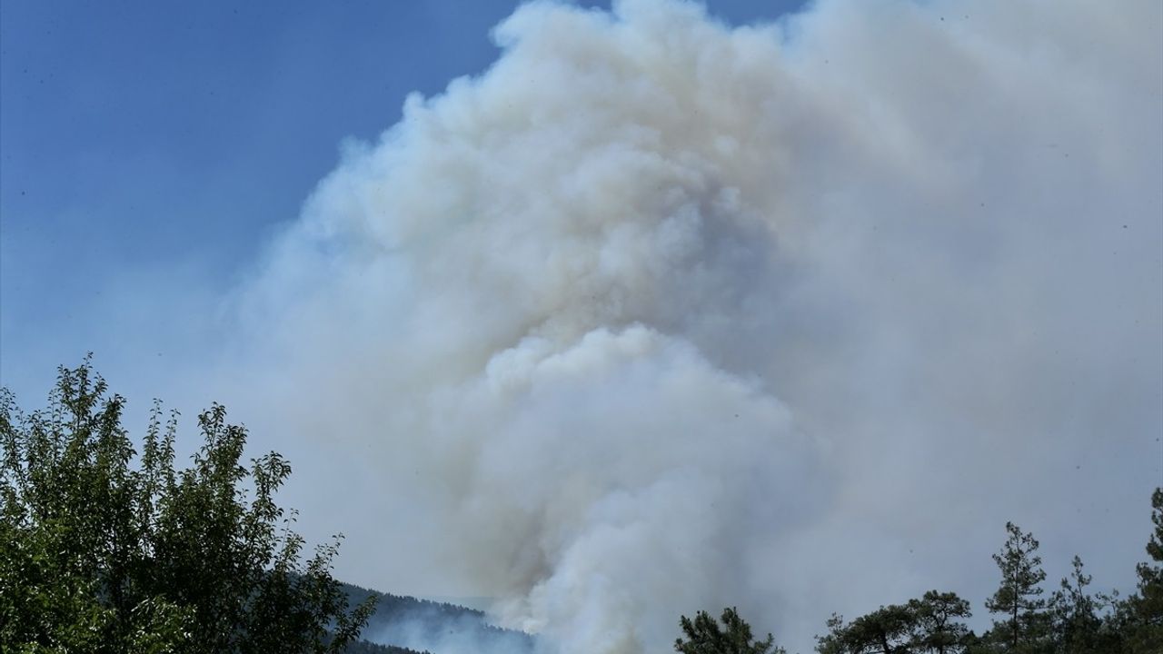 Sakarya'daki Orman Yangınına Müdahale Devam Ediyor