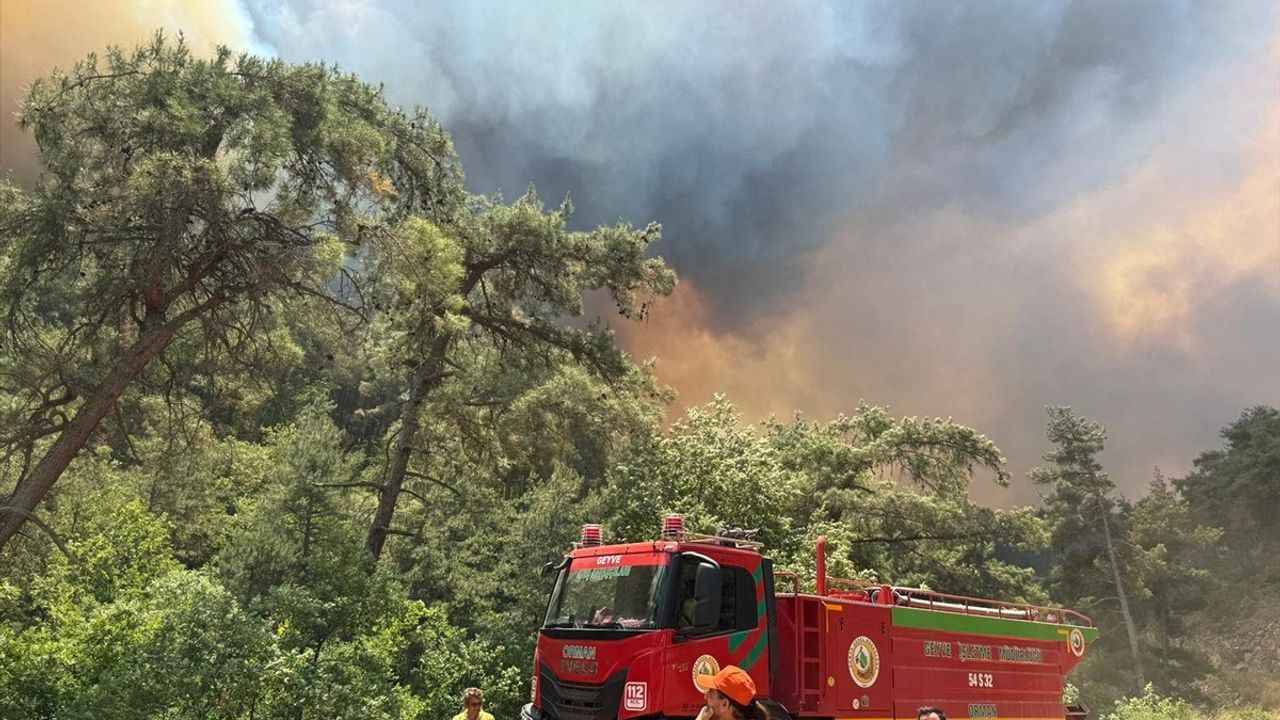 Sakarya'daki Orman Yangınına Müdahale Devam Ediyor