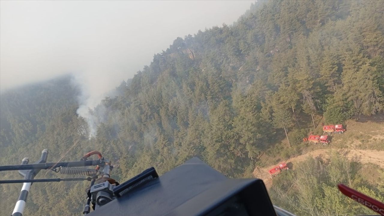Sakarya ve Bilecik'te Yangın Alarmı: Evler Zarar Gördü