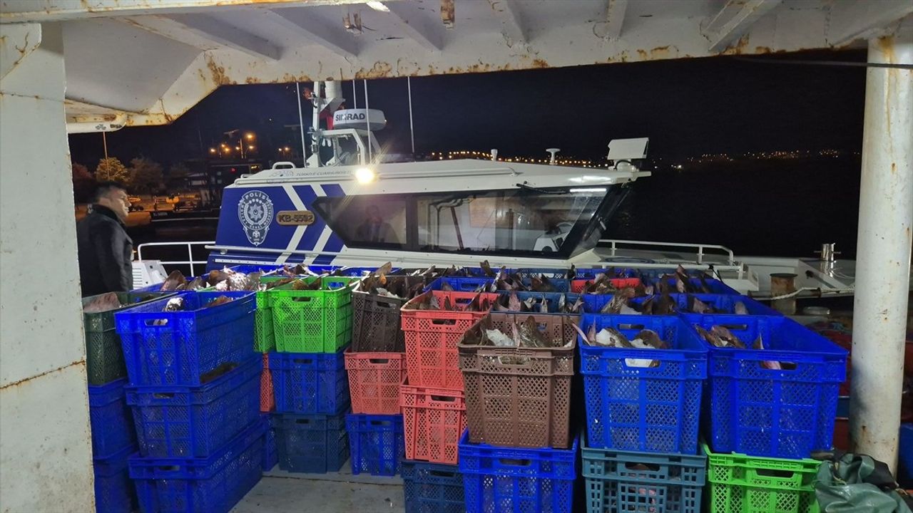Samsun'da Kaçak Kalkan Balığı Operasyonu