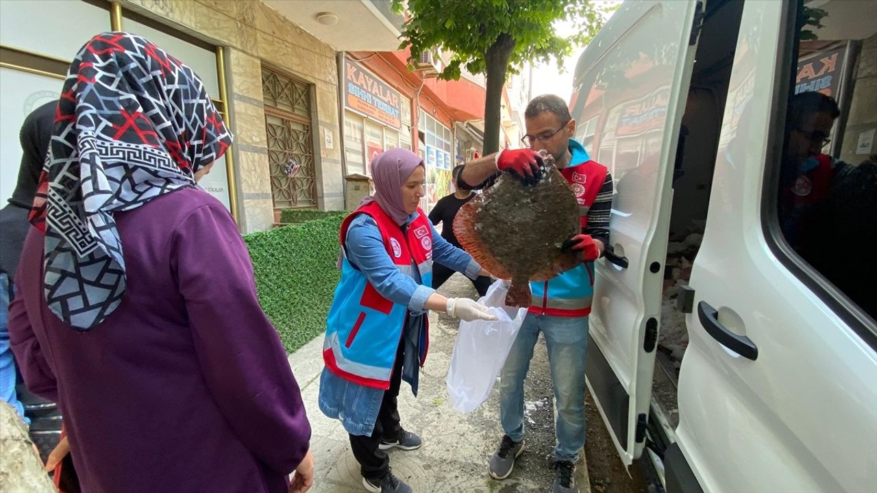 Sinop'ta Kaçak Avlanan 363 Kalkan Balığı Vatandaşlara Dağıtıldı