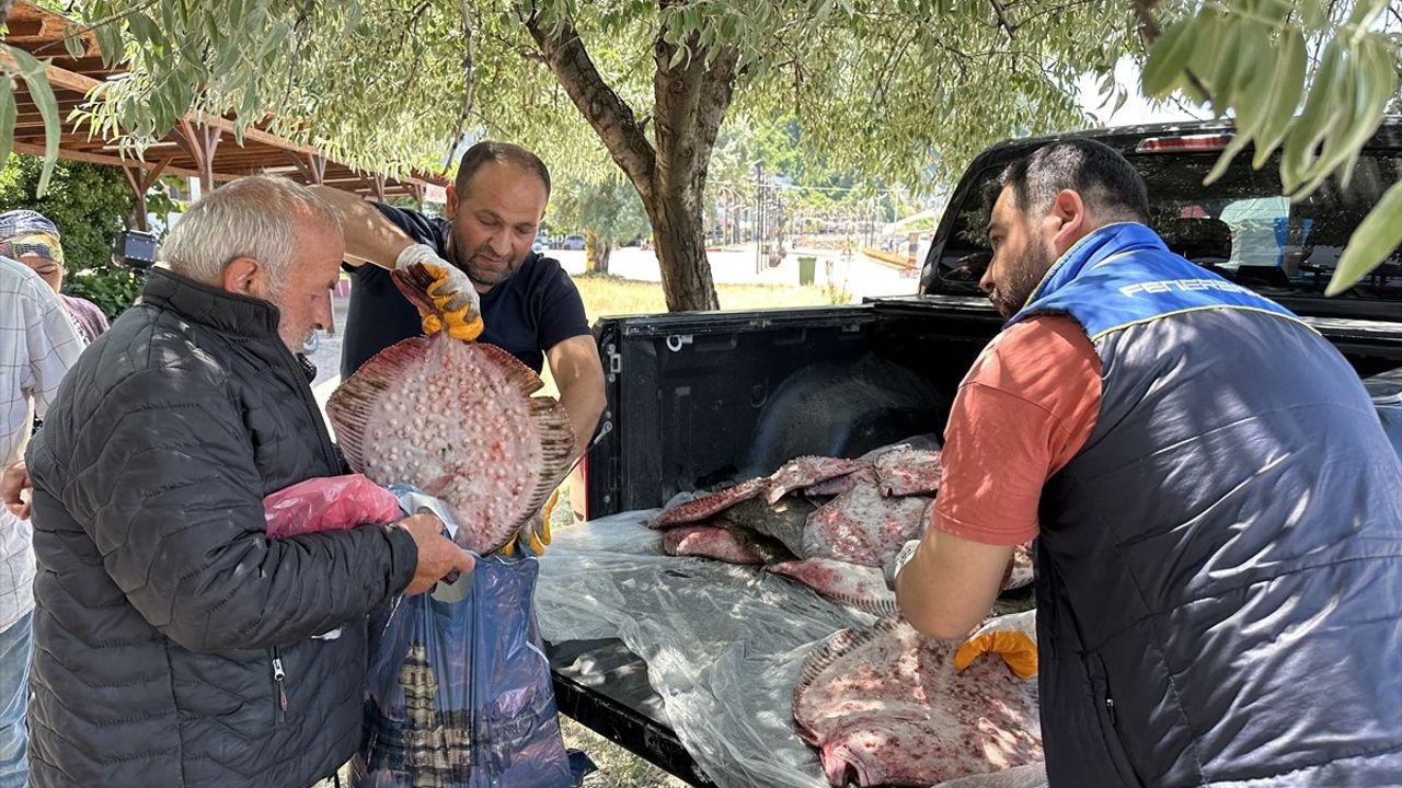 Sinop'ta Kaçak Kalkan Balığı Operasyonu