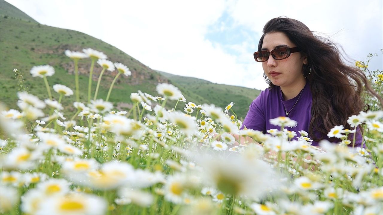Sırakayalar Şelalesi: Bayburt'un Doğal Cenneti
