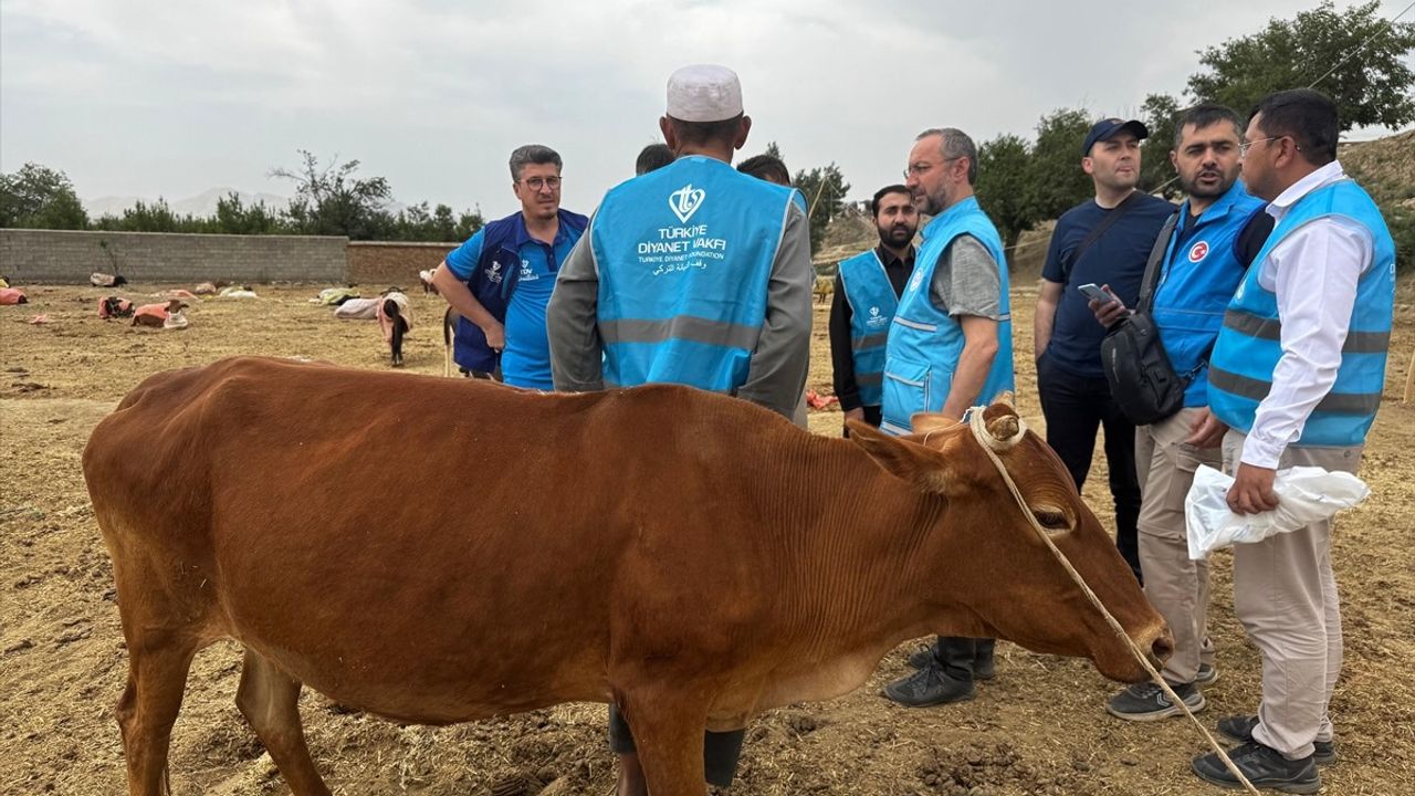 TDV, Afganistan'da 8.400 Hisse Kurban Eti Dağıtımına Başlıyor