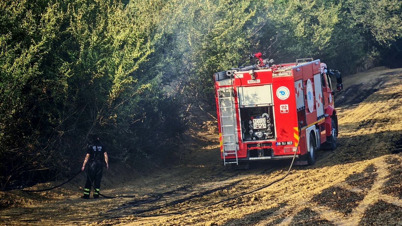 Tekirdağ'da 200 Dekar Buğday Tarlası Yangınla Yok Oldu