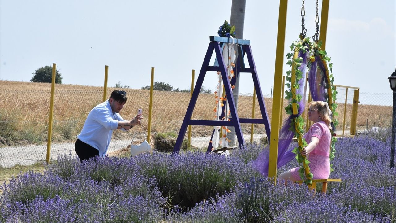 Tekirdağ'da Lavanta Bahçeleri Fotoğraf Meraklılarını Bekliyor