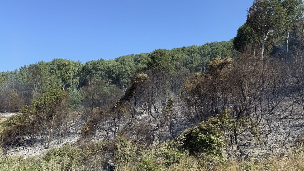 Tekirdağ'da Makilik Alana Sıçrayan Yangın Başa Çıktı