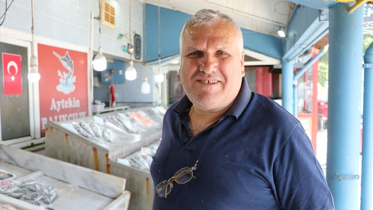 Tekirdağ'da Sardalya Sezonu