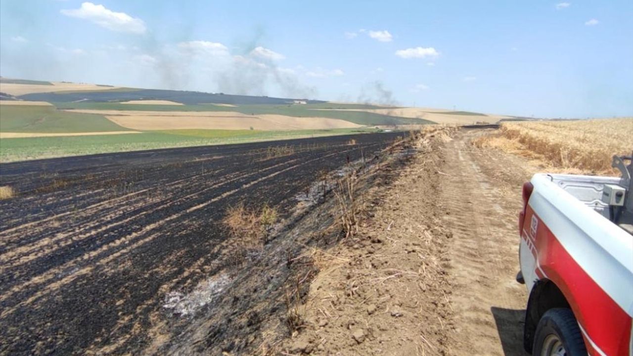 Tekirdağ'da Tarlada Yangın: 70 Dönüm Buğday Alanı Zarar Gördü