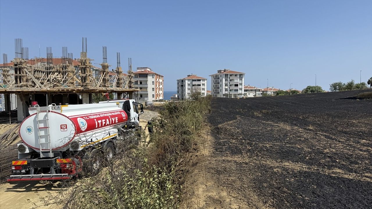 Tekirdağ'da Yangın Felaketi: 30 Dekar Buğday Yok Oldu