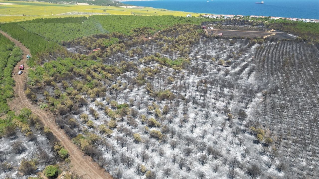 Tekirdağ'daki Orman Yangını Havadan Görüntülendi
