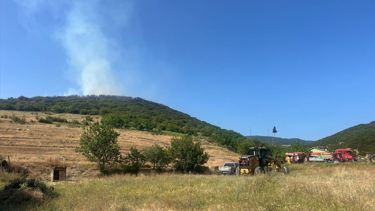 Tokat'ta Orman Yangınına Müdahale Başlatıldı