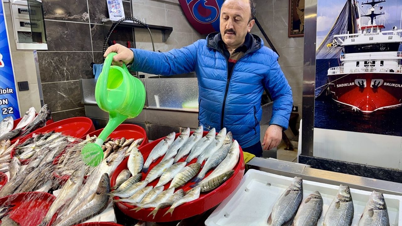 Trabzon'da Balık Tezgahlarında Bolluk Dönemi