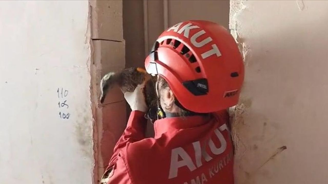 Trabzon'da Yaralı Martı Havalandırma Boşluğunda Mahsur Kaldı