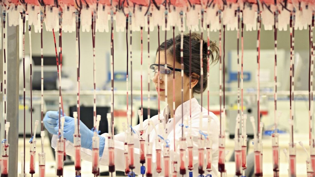 Türk Kızılay, 2.3 Milyon Kan Bağışçısıyla Dünyada 3. Sırada