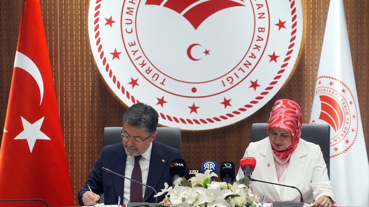 Türk Kızılay'a Kan Bağışıyla Fidan Dikimi Projesi
