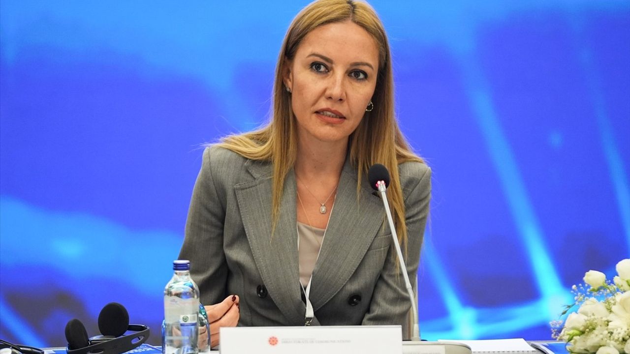 Türkiye ve Macaristan'dan Medya İşbirliği: Medya Köprüleri Çalıştayı