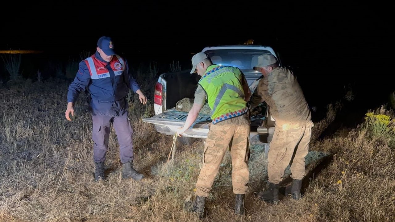 Van'da 1.5 Ton Kaçak İnci Kefali Suya Bırakıldı