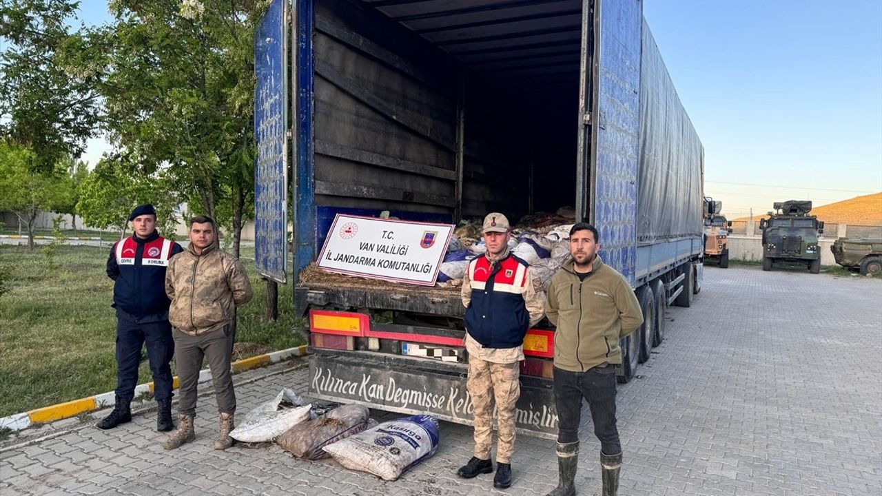 Van'da 19 Ton Kaçak İci Kefali Ele Geçirildi