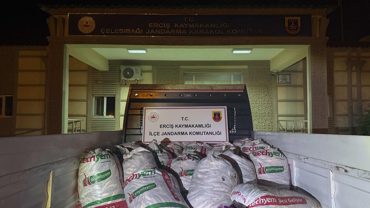 Van'da Kaçak Avlanan İki Ton İnci Kefali Ele Geçirildi