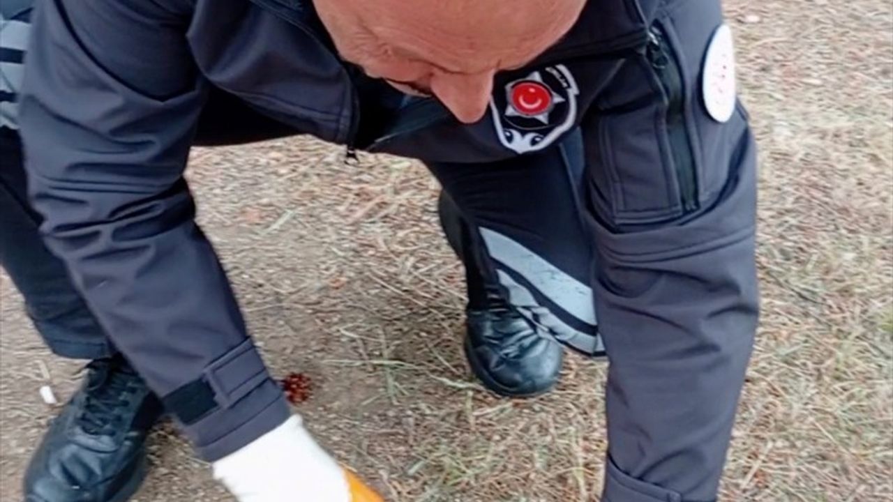 Yozgat'ta Kediyi Kurtaran Kahraman Güvenlik Görevlisi