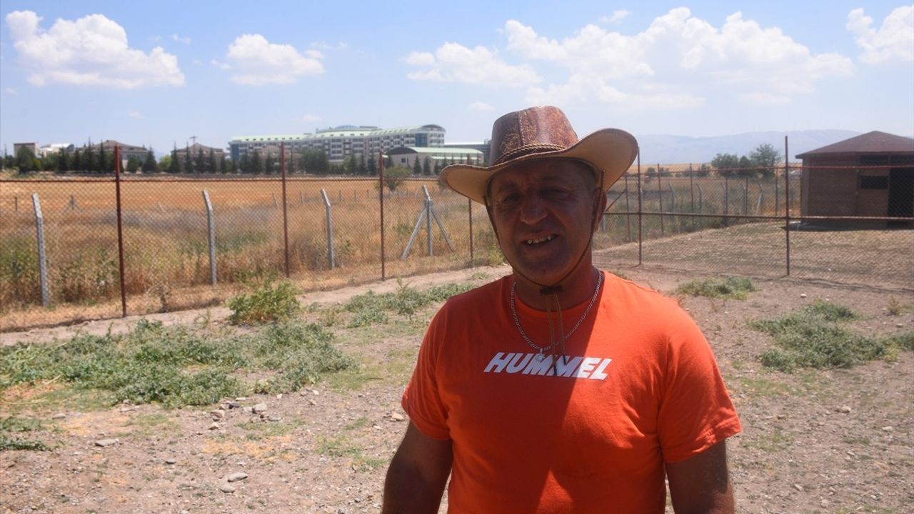 Afyonkarahisar'daki Geyik, Hayvanat Bahçesinde Yeni Bir Hayat Buldu