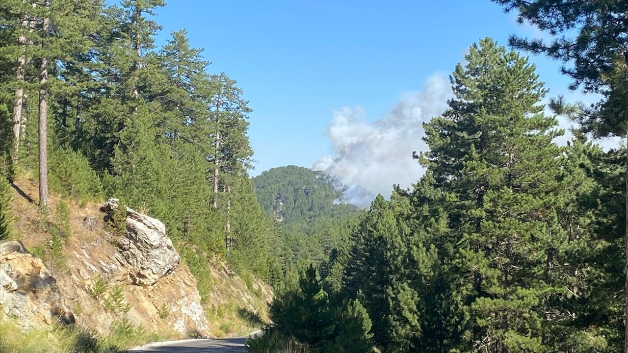 Alanya'da Orman Yangınına Müdahale Devam Ediyor