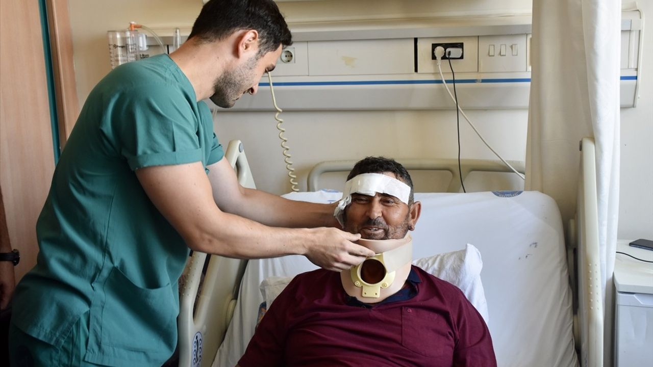 Antalya'da Aslan Saldırısında Yaralanan Çoban Taburcu Oldu