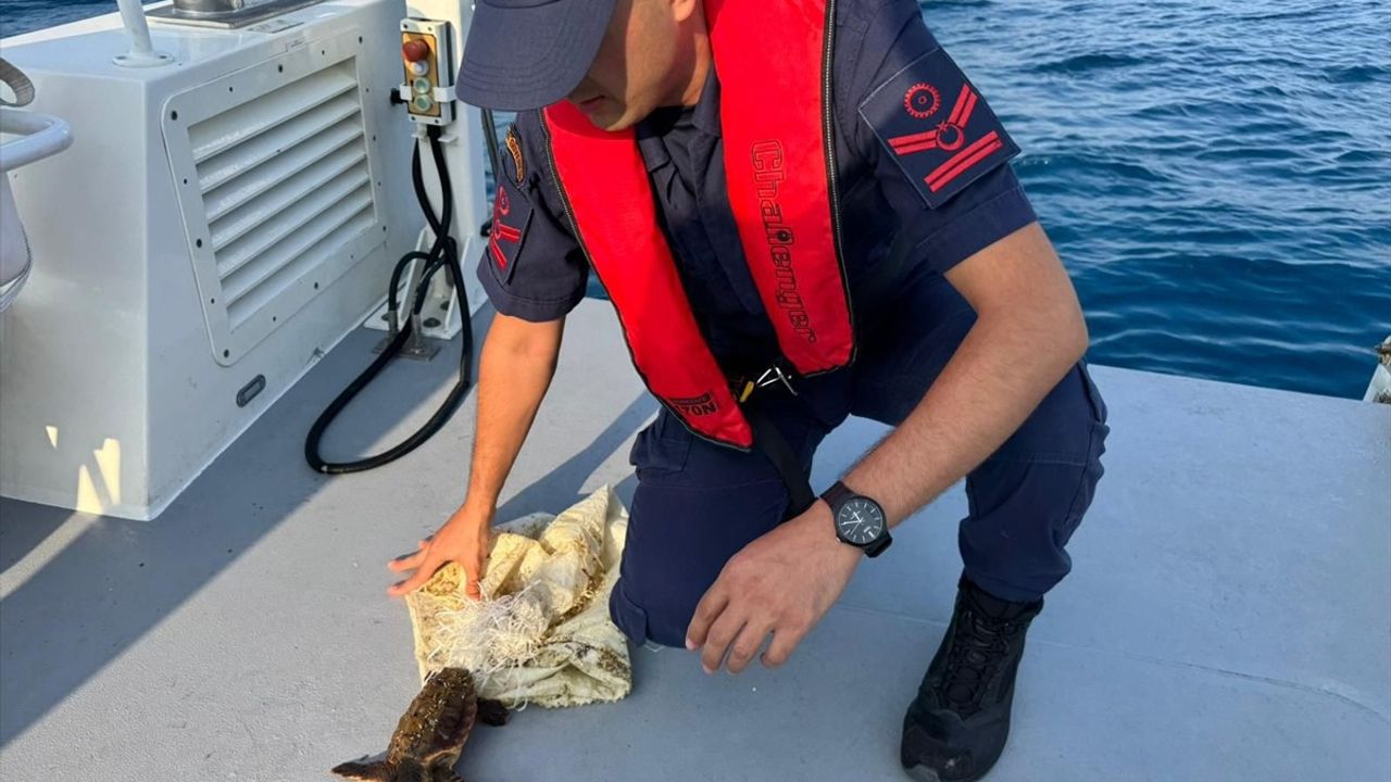 Antalya'da Çuvala Takılan Deniz Kaplumbağası Kurtarıldı