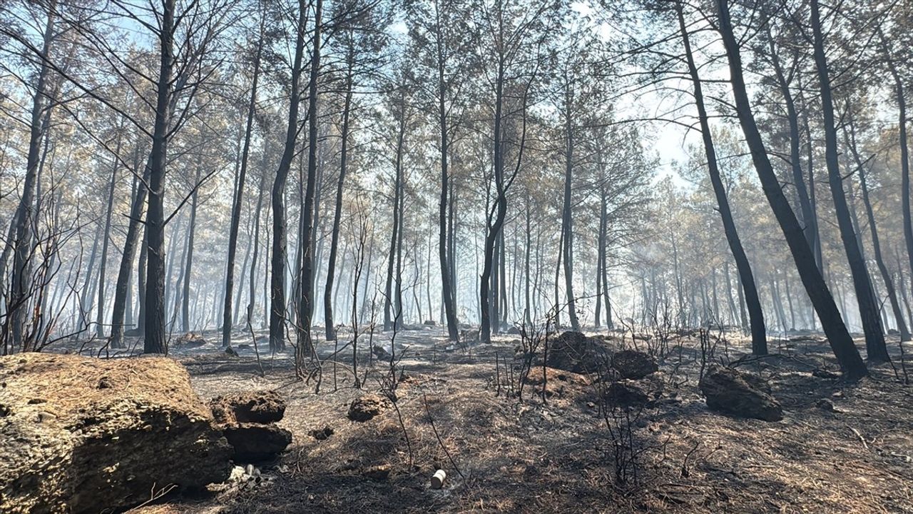 Antalya'da Orman Yangınlarına Müdahale Devam Ediyor