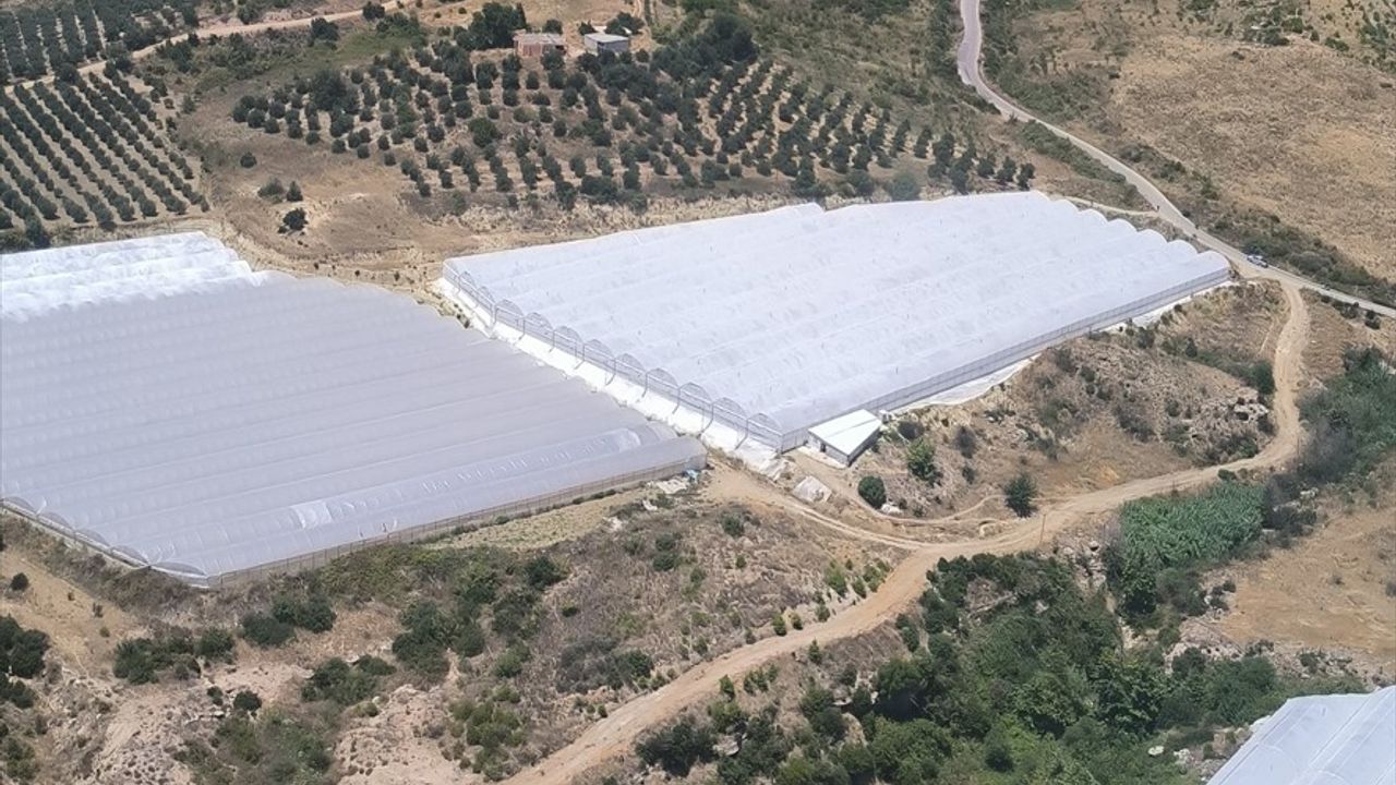 Antalya'da Yangın Alarmı: Alevlere Hava ve Karadan Müdahale