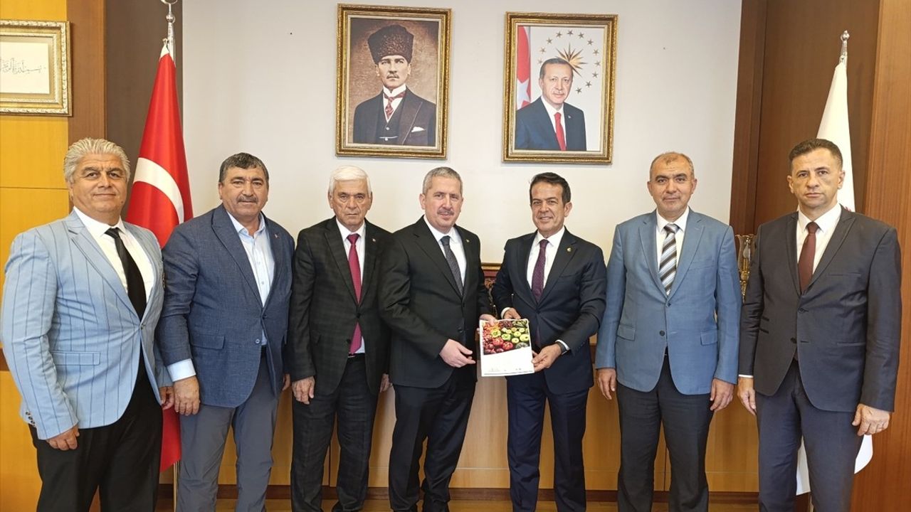Antalya Tarım Konseyi'nden Yaş Meyve Sebze Raporu