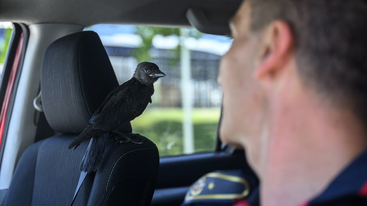 Arnavutköy İtfaiyesinin Yeni Maskotu: Zeytin