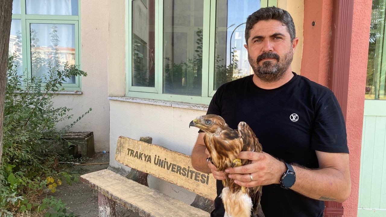 Aşırı Hava Sıcaklıklarının Yaban Hayvanları Üzerindeki Olumsuz Etkileri