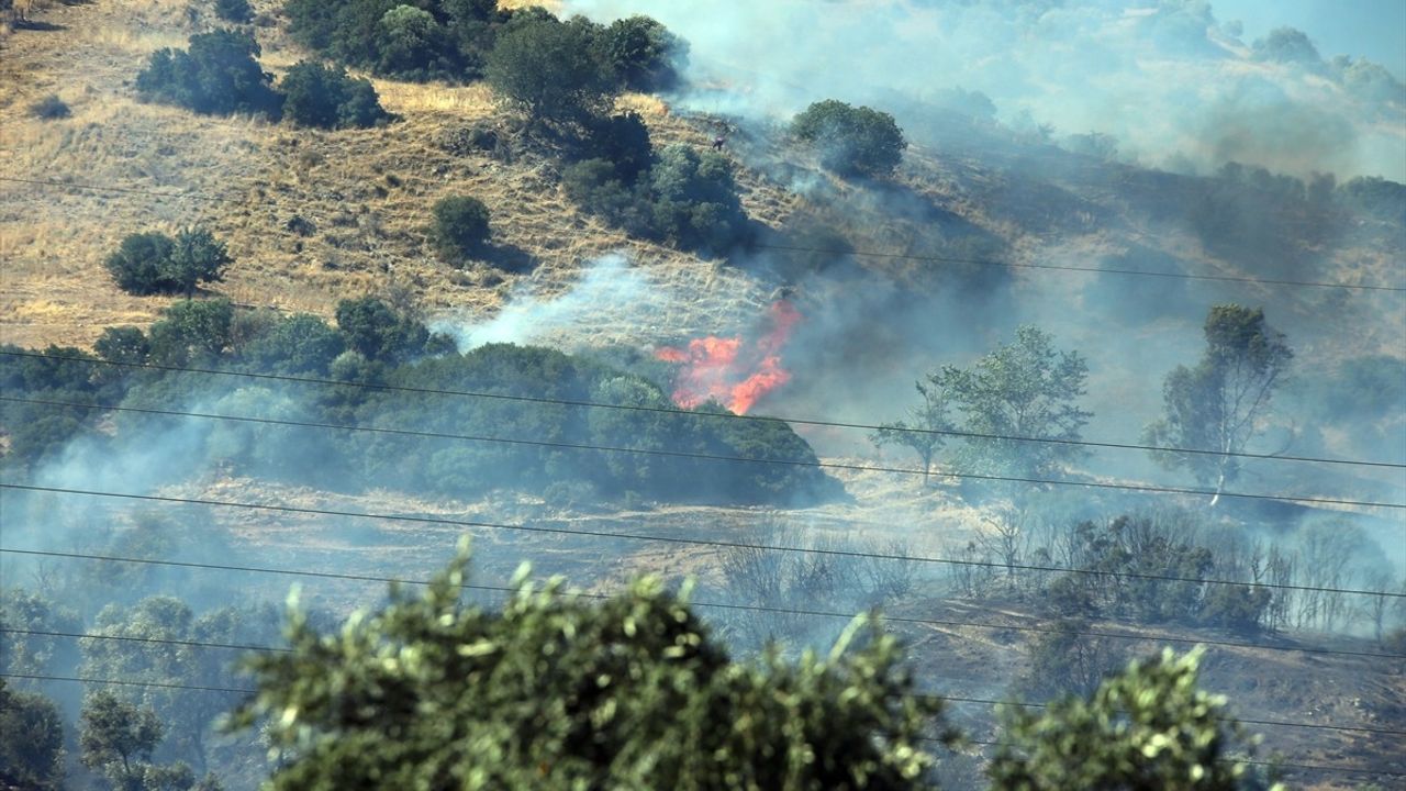 Aydın'da Zeytinlik Yangını: Baba ve Oğul Gözaltında