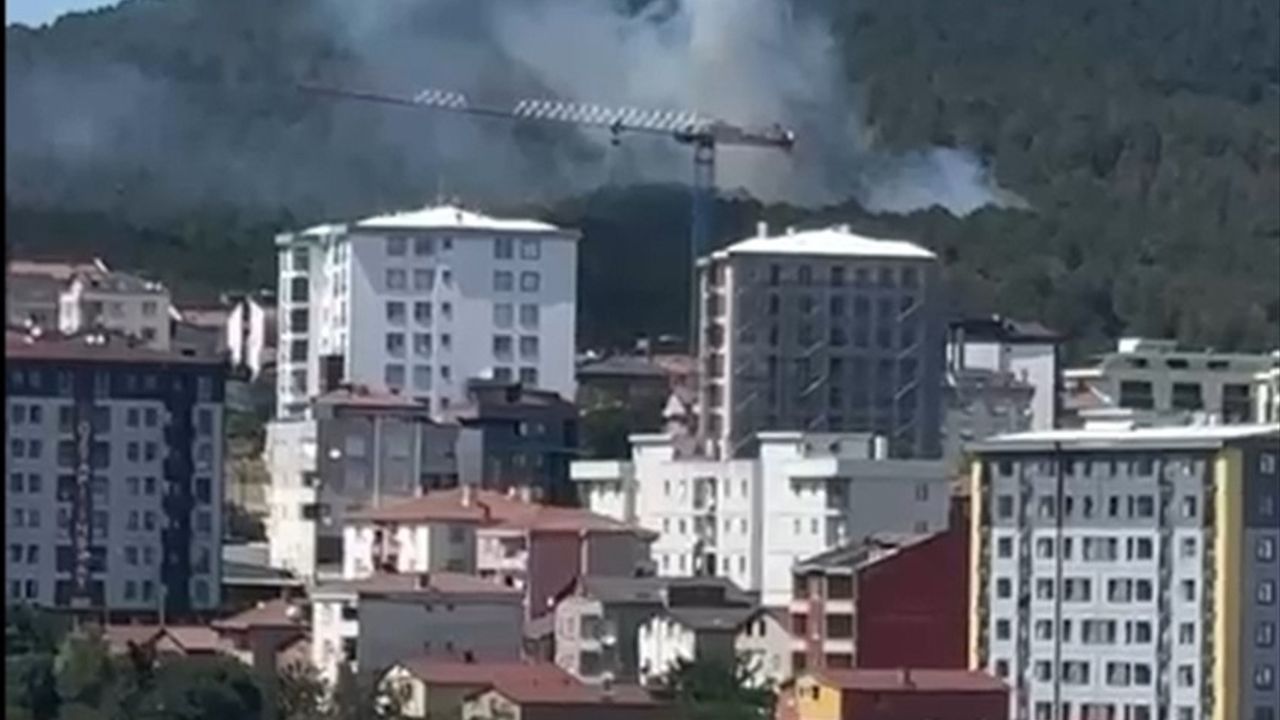 Aydos Ormanı'nda Yangın Alarmı