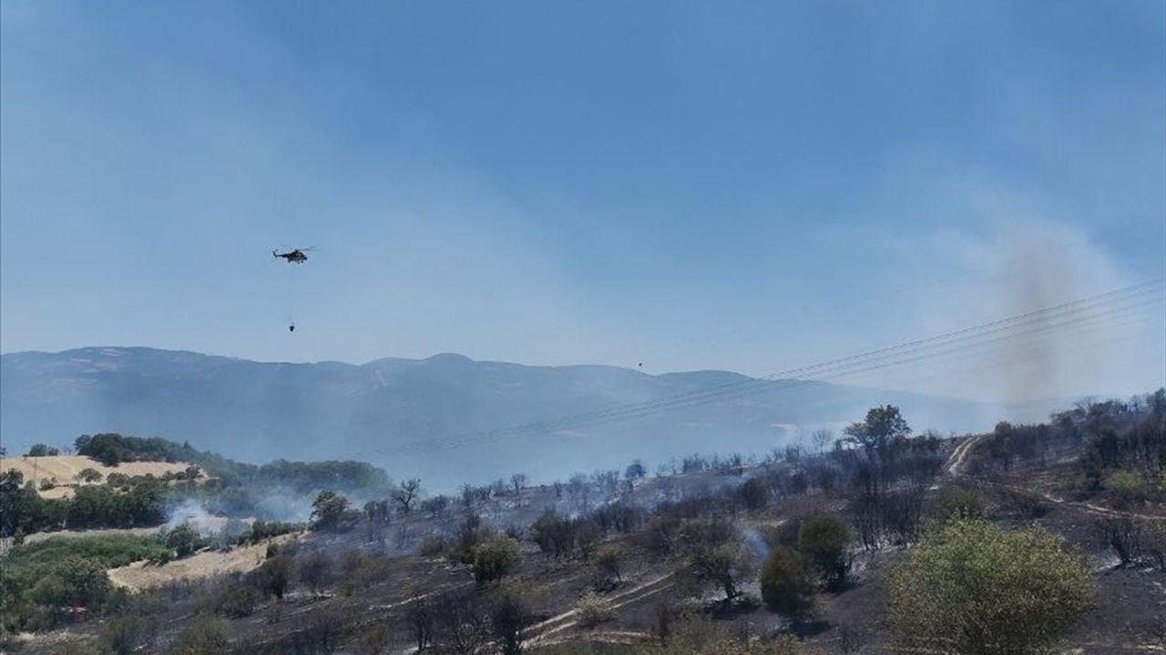 Balıkesir'deki Orman Yangını Kontrol Altına Alındı