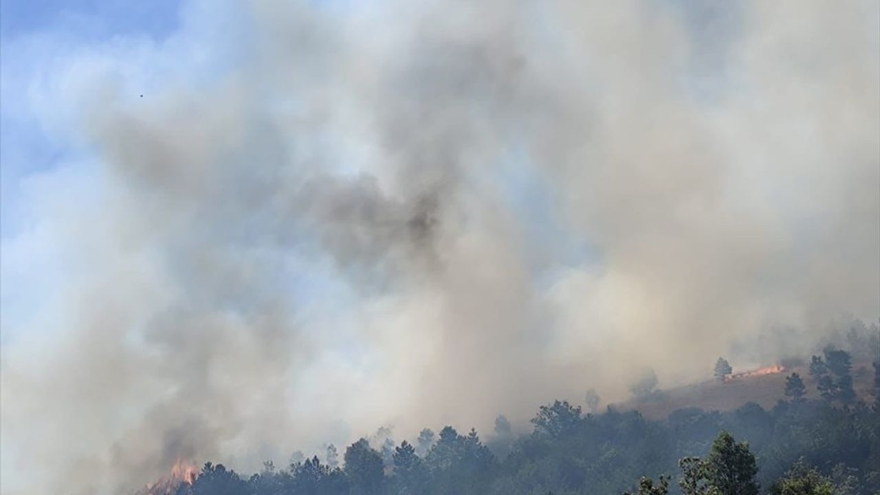 Balıkesir'deki Orman Yangınına Hızlı Müdahale