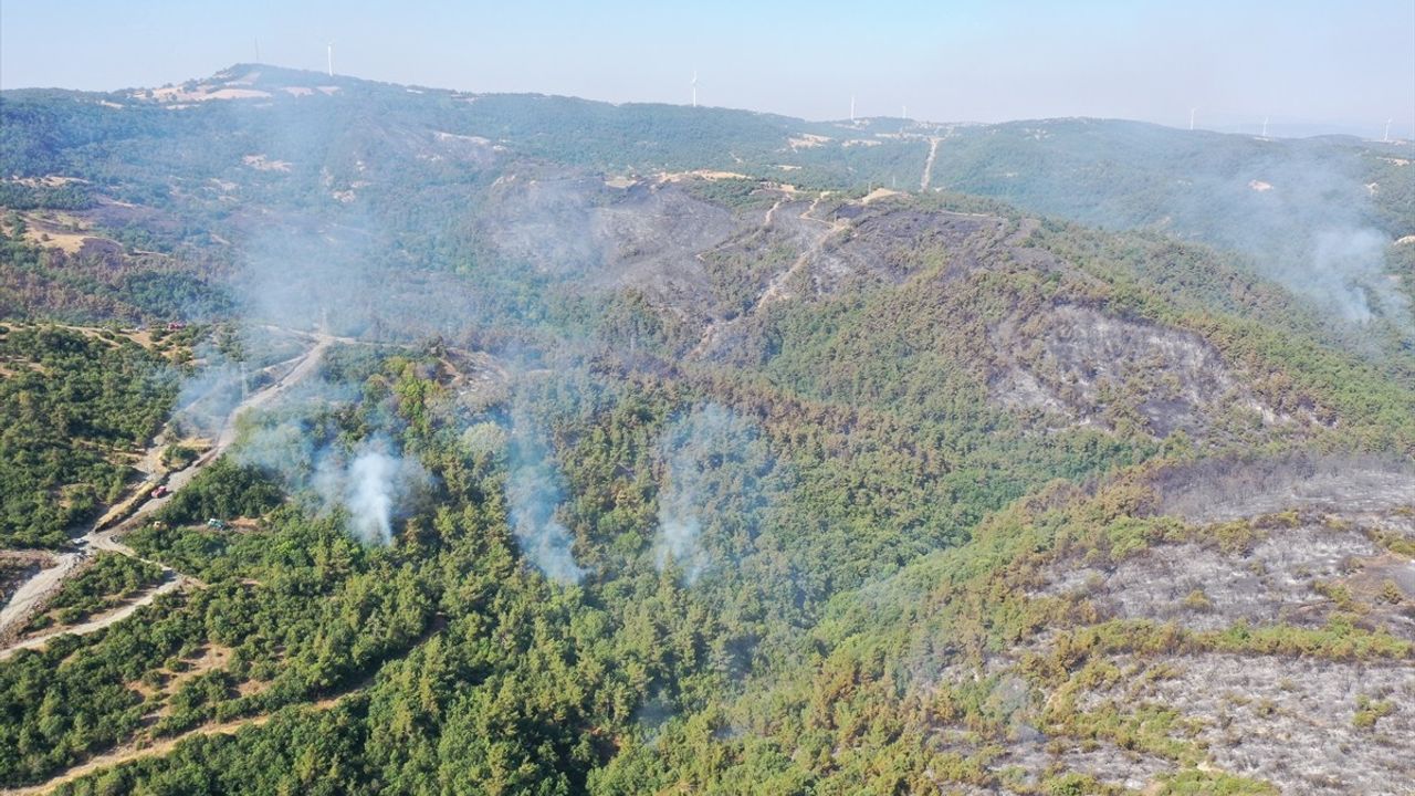 Balıkesir'deki Orman Yangınına Müdahale Devam Ediyor