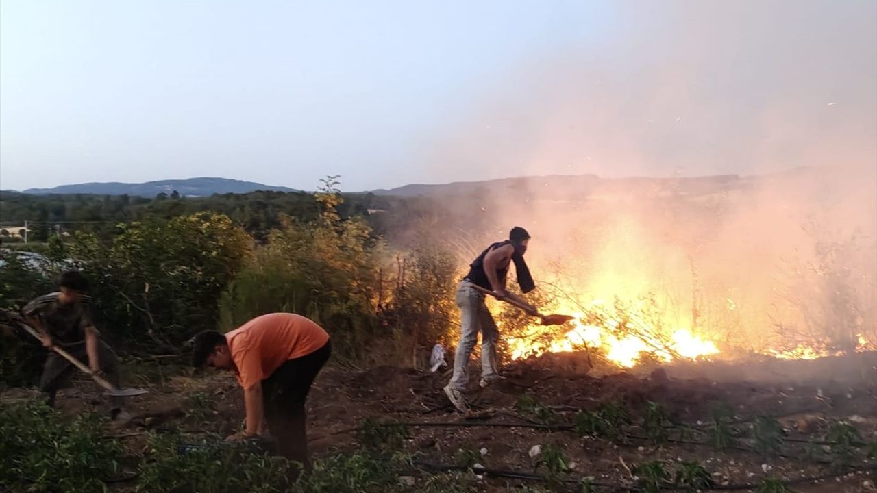 Balıkesir'deki Tavuk Çiftliğinde Yangın Kontrol Altına Alındı