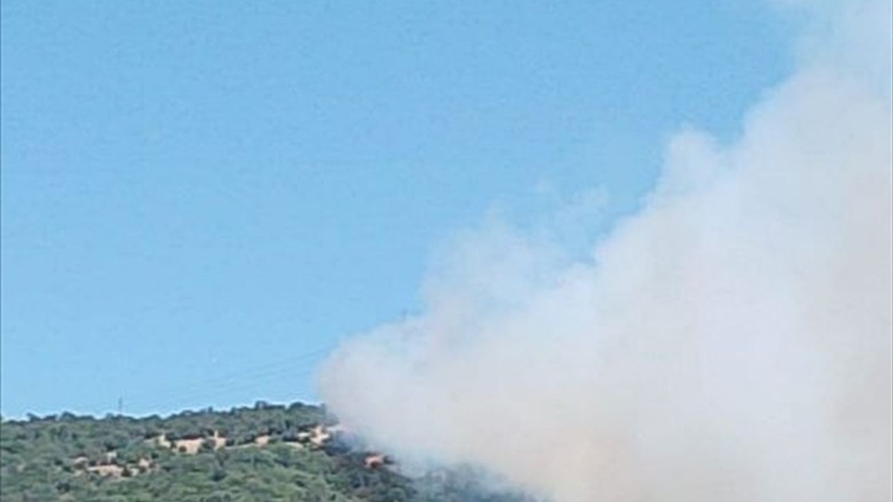 Balıkesir'in Savaştepe İlçesinde Orman Yangınına Müdahale Başlatıldı