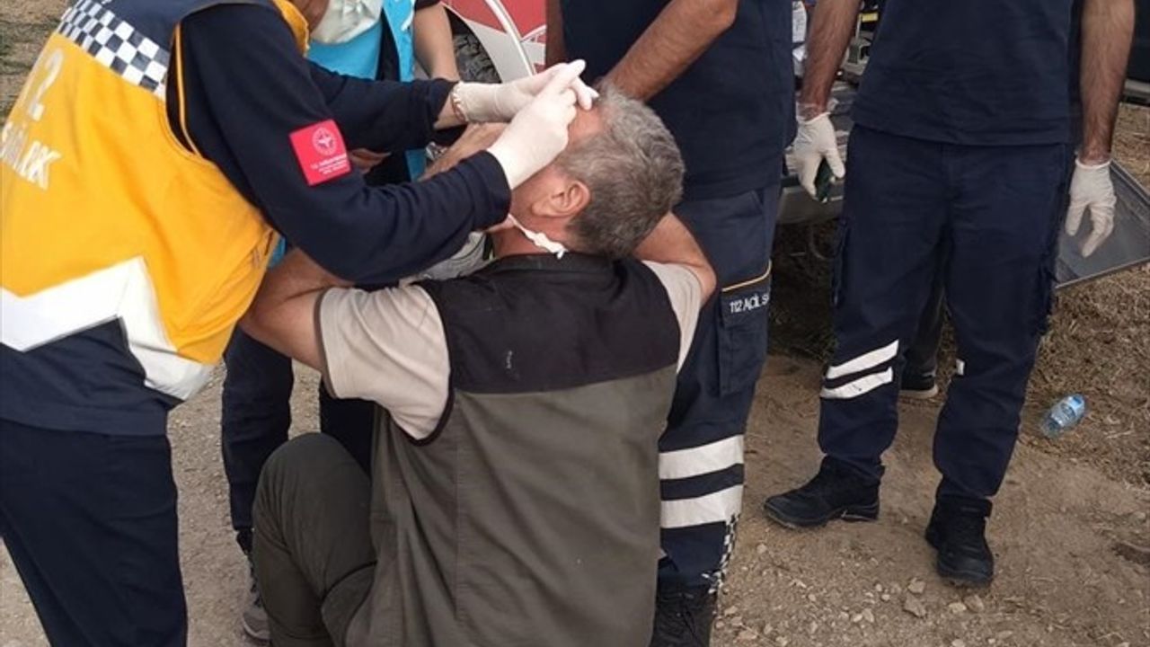 Bilecik'te Orman Yangınları: 106 Kişi Dumandan Etkilendi