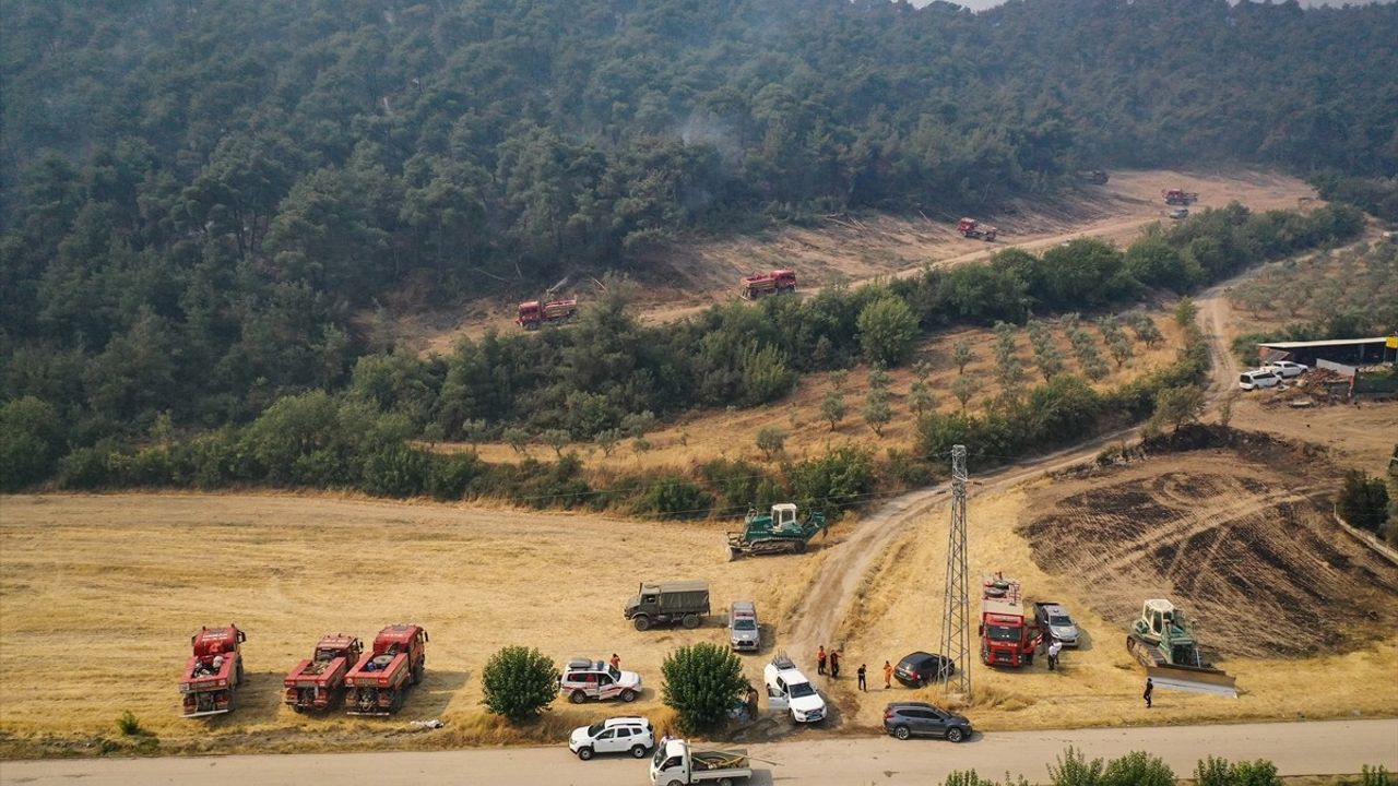 Bilecik'te Sürdürülen Orman Yangınıyla Mücadele Devam Ediyor