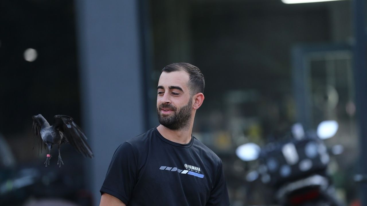 Bingöl'de Motosiklet Teknisyeni ve Kargası Şimşek Arasındaki Dostluk