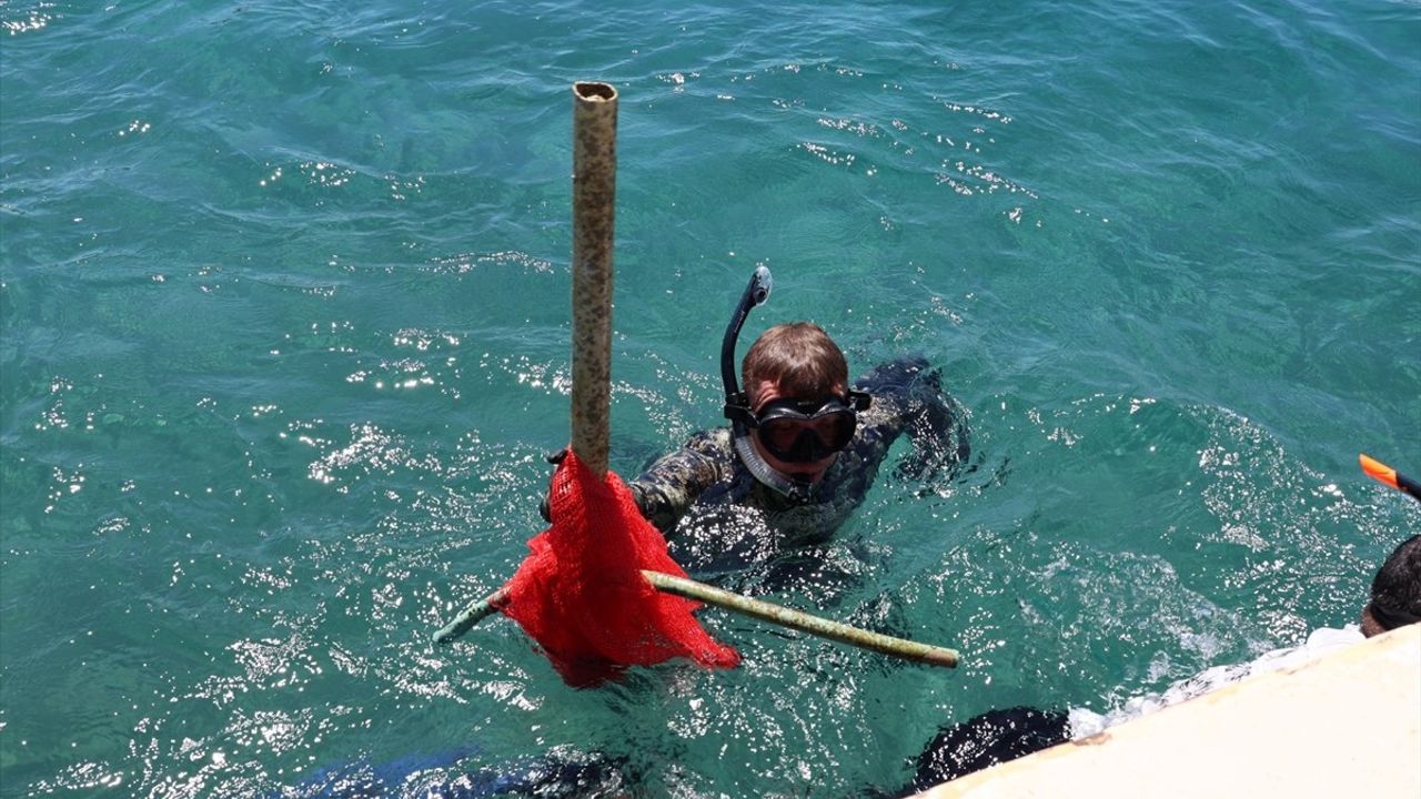 Bodrum'da Gönüllü Dalgıçlardan Deniz Dibi Temizliği
